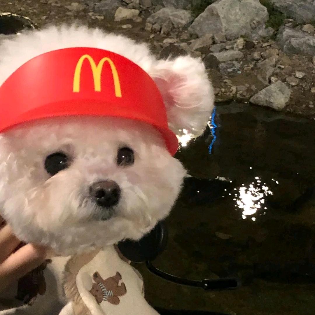 白米饭