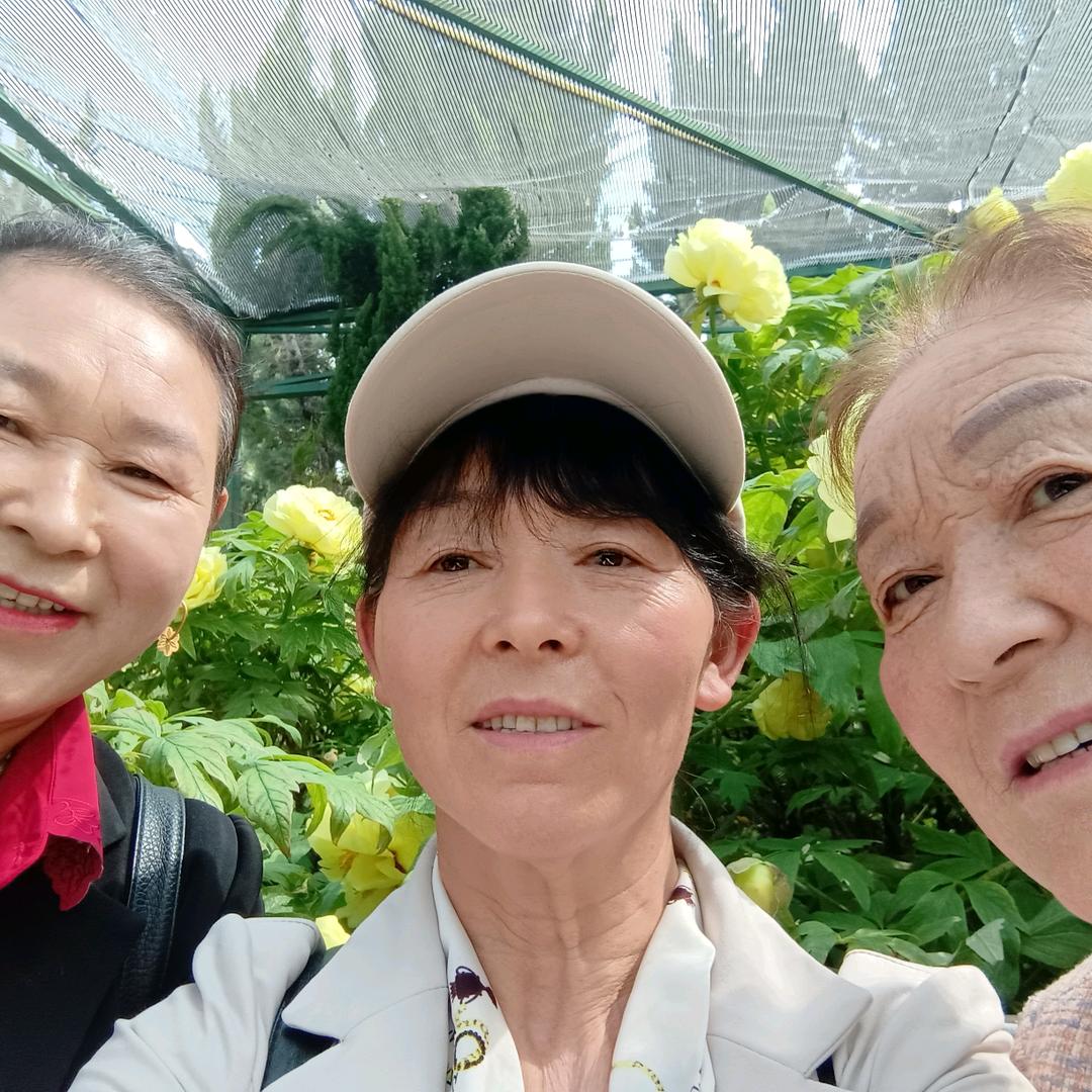 出淤泥而不染
