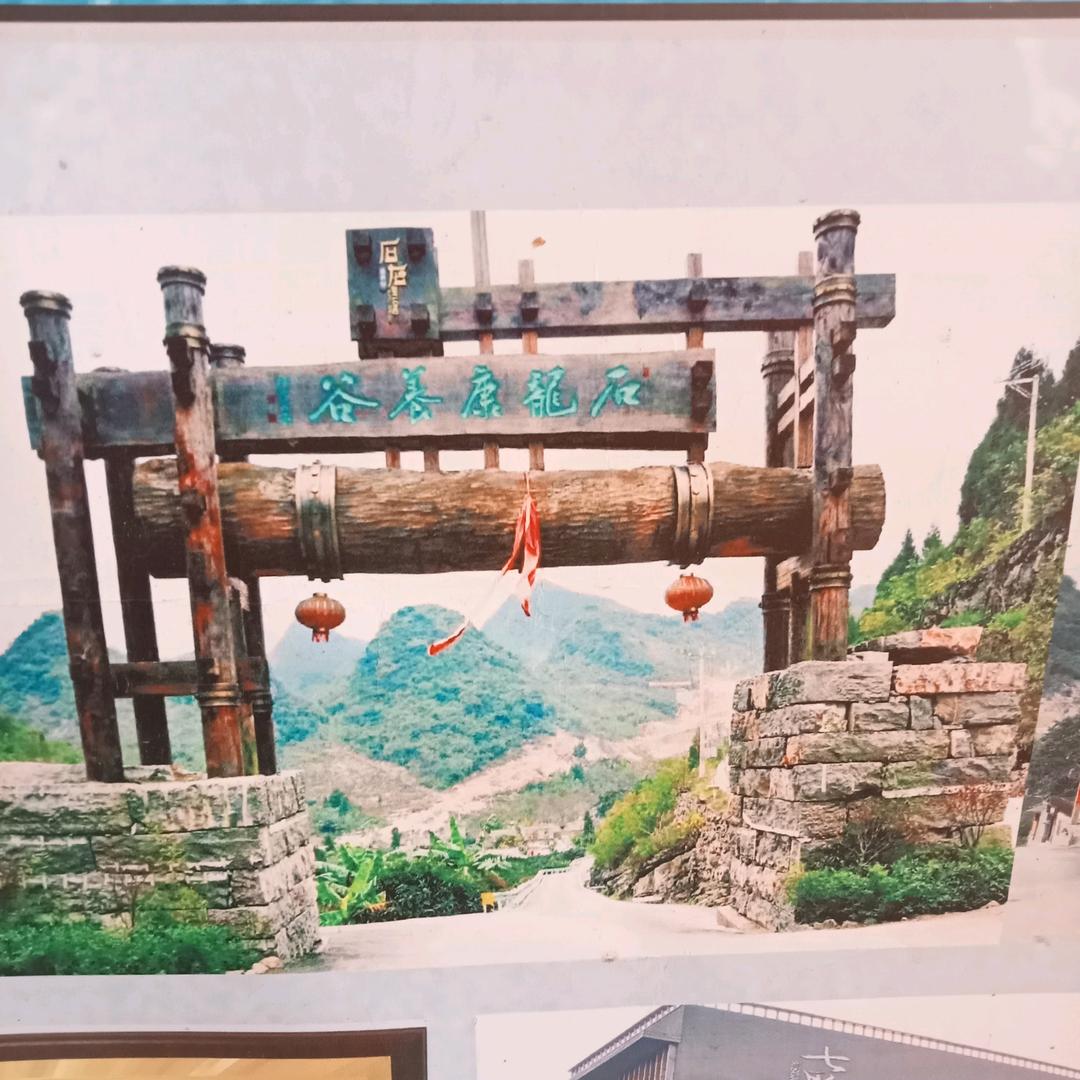 小琴