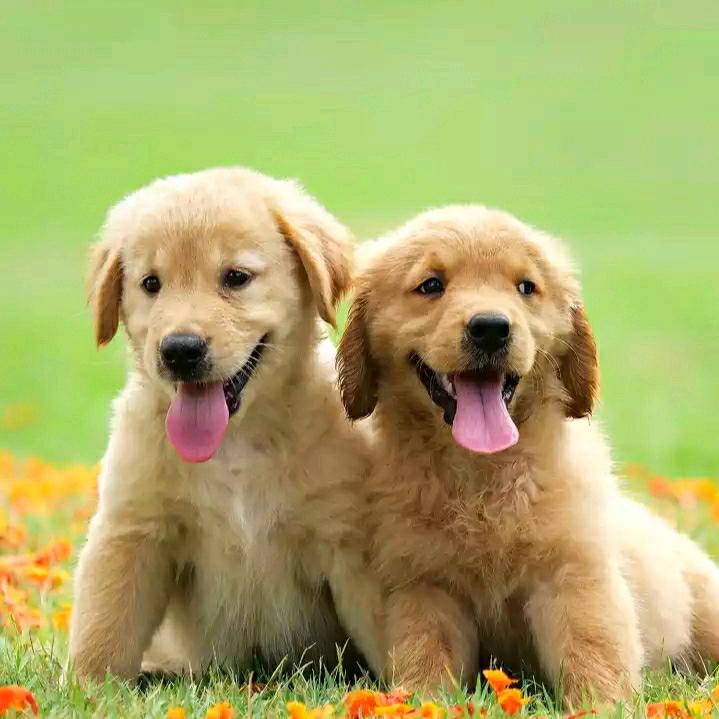 🍀相濡以沫🍀