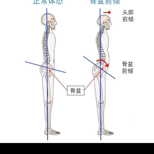 人体平衡