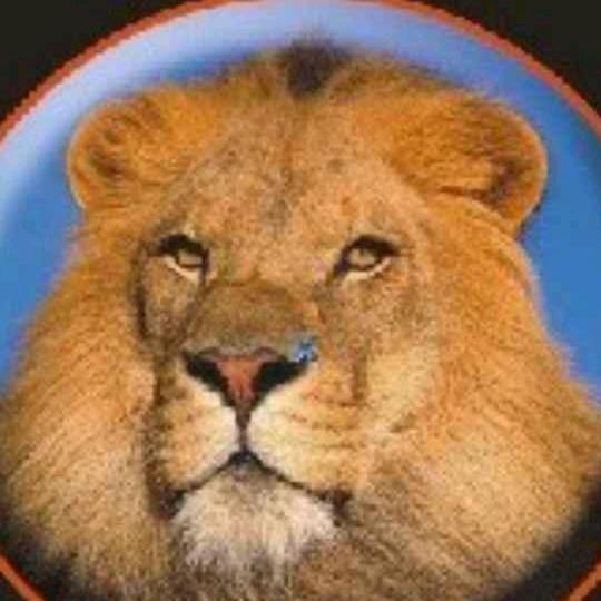 魔威狮汽车修复连锁(蜀山店)