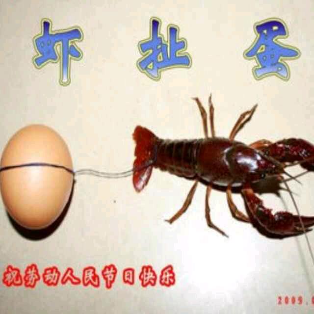瞎扯蛋