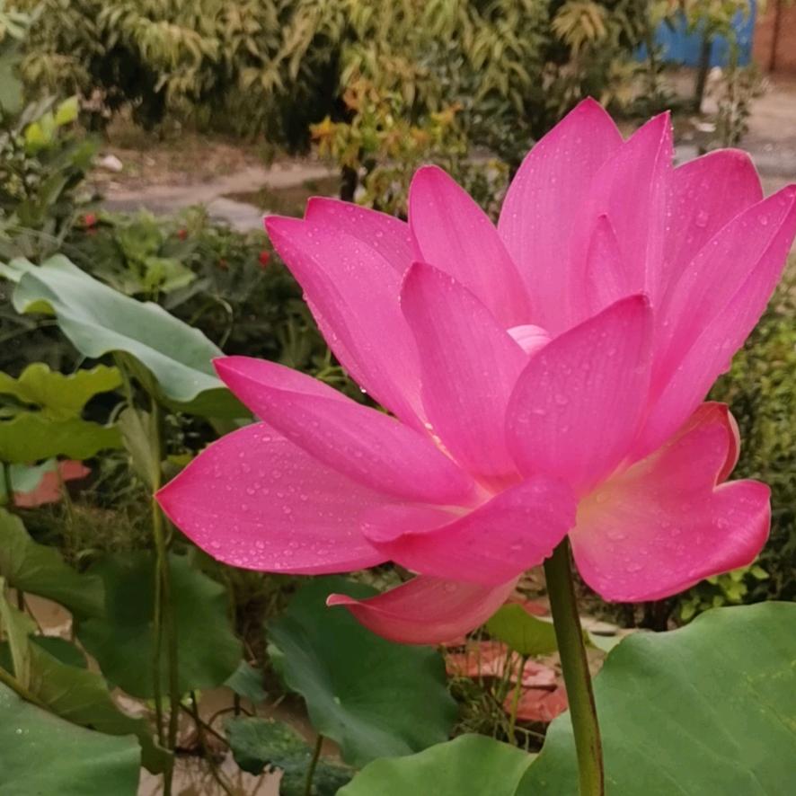 瑞祥河北