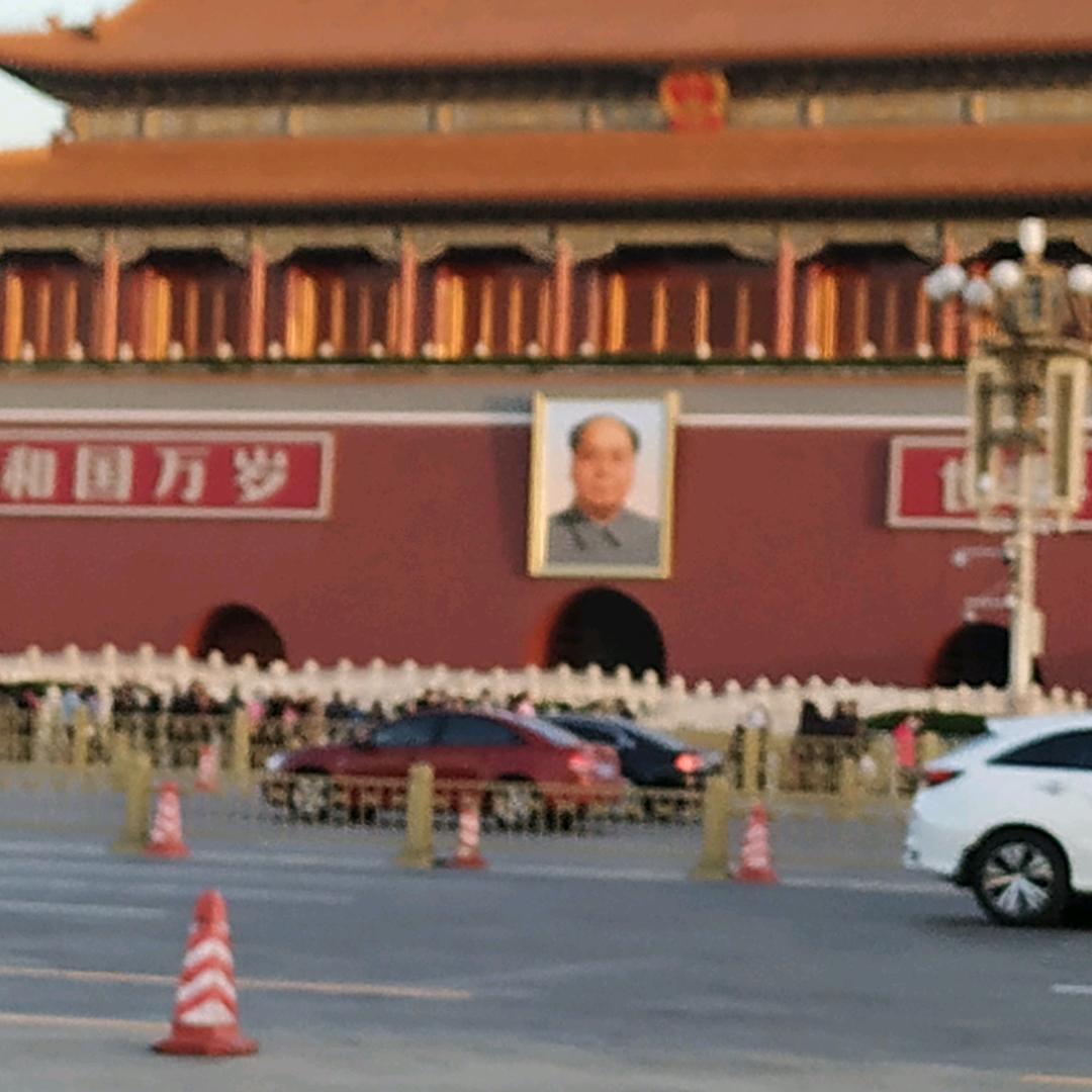 专业实家装