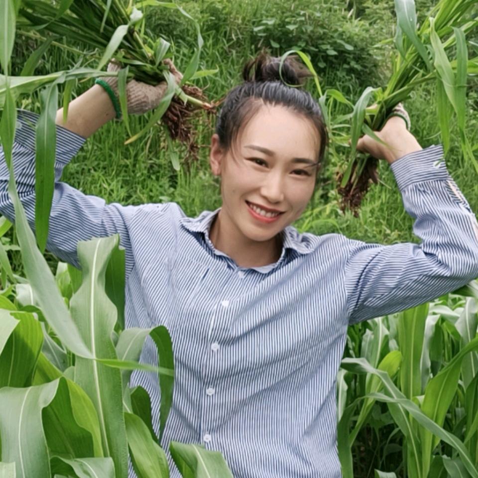 十八拐