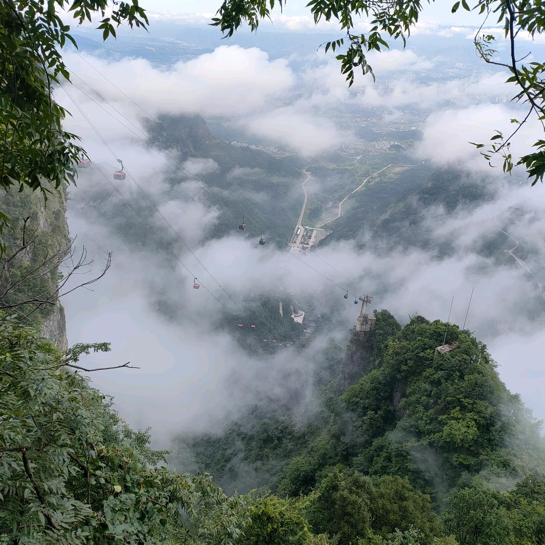 呐滇号云南南昔茶业有限公司茶叶专卖店