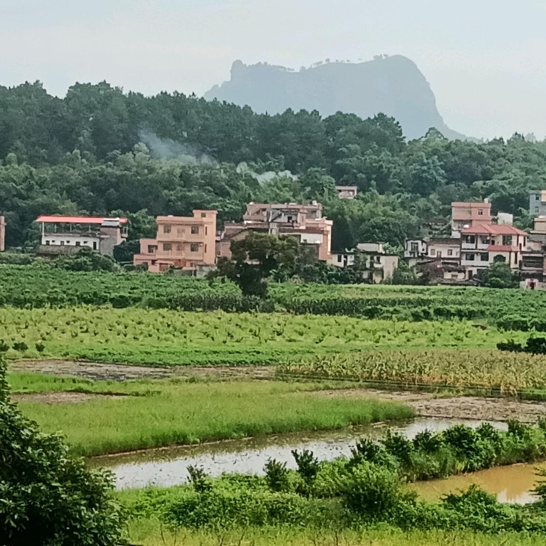 回不去的时光