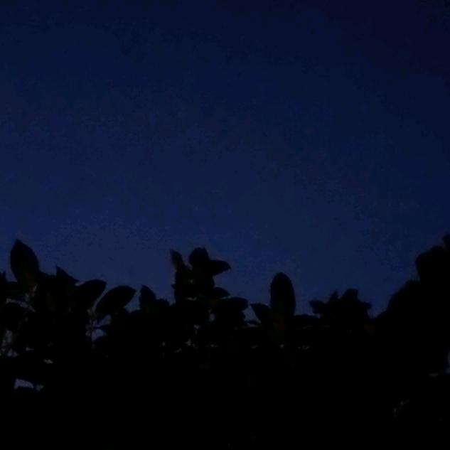 木柚呦