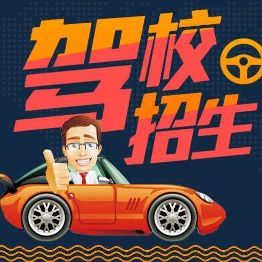 专业A1A2A3B1B2教练