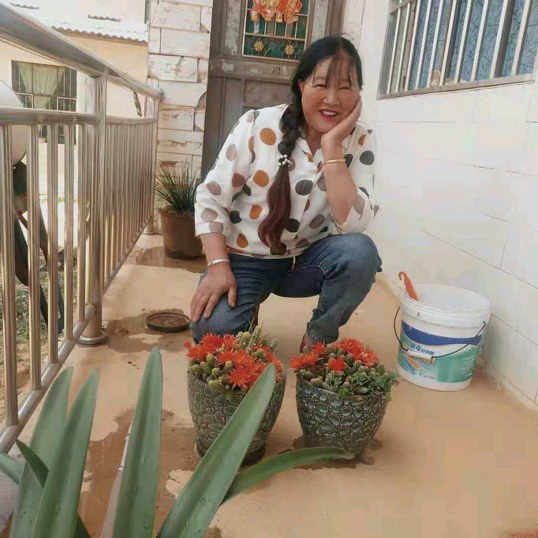 心想事成