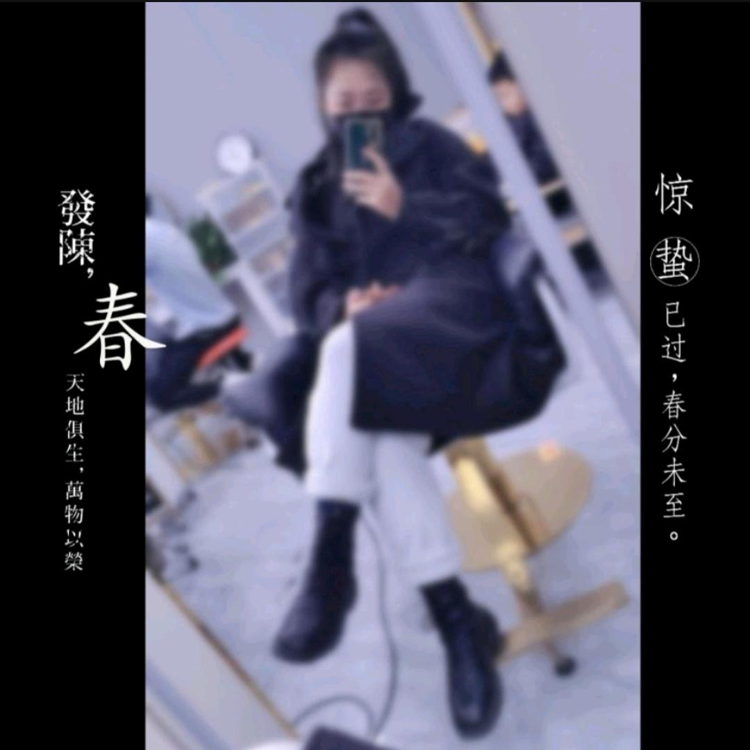 蜥蜴a