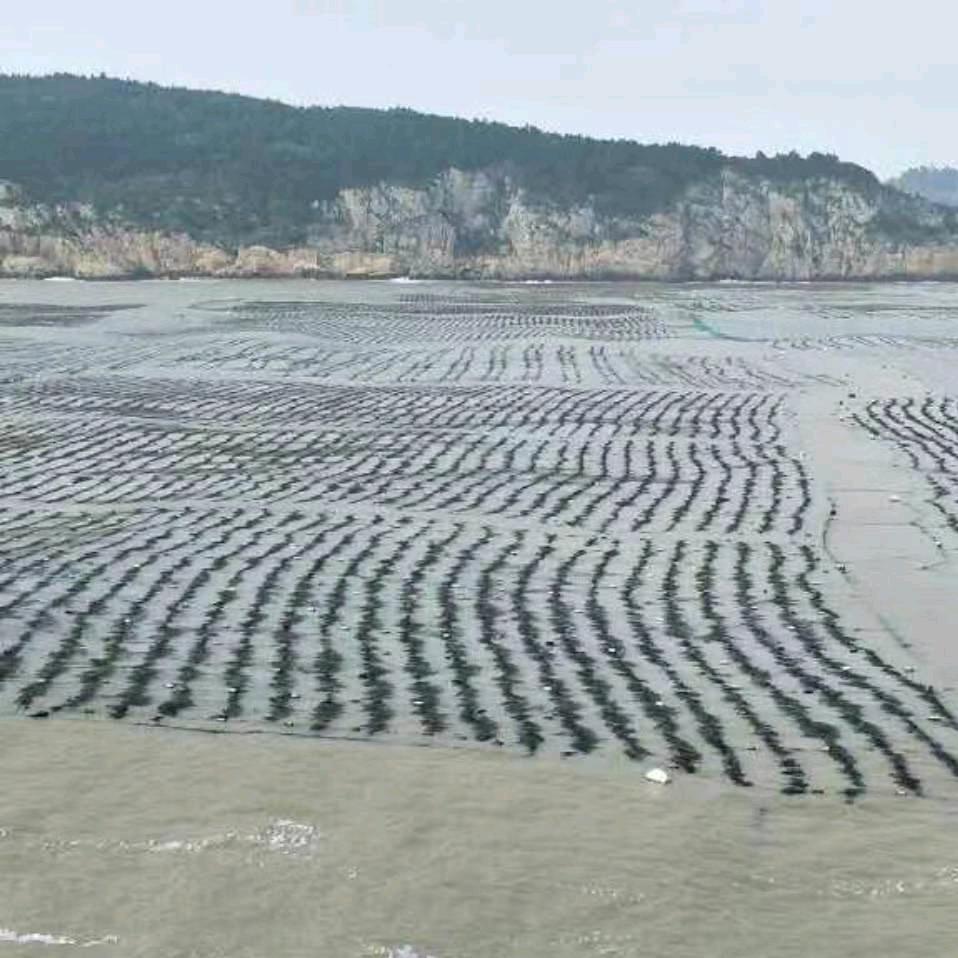 心若在.梦就在