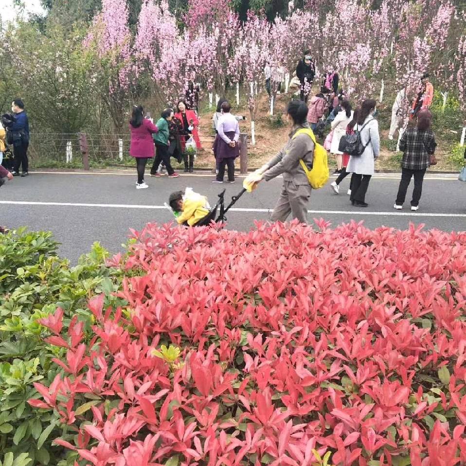 王金群
