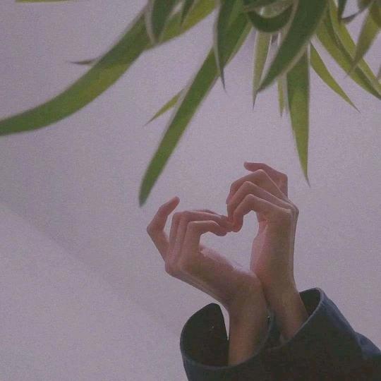 全球流行说