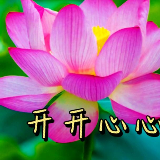 跳舞的大妈
