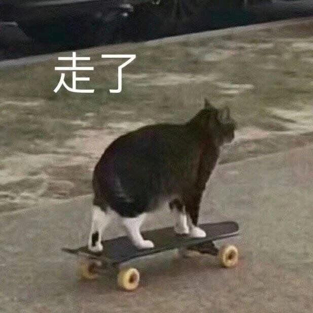 洋芋鱼鱼