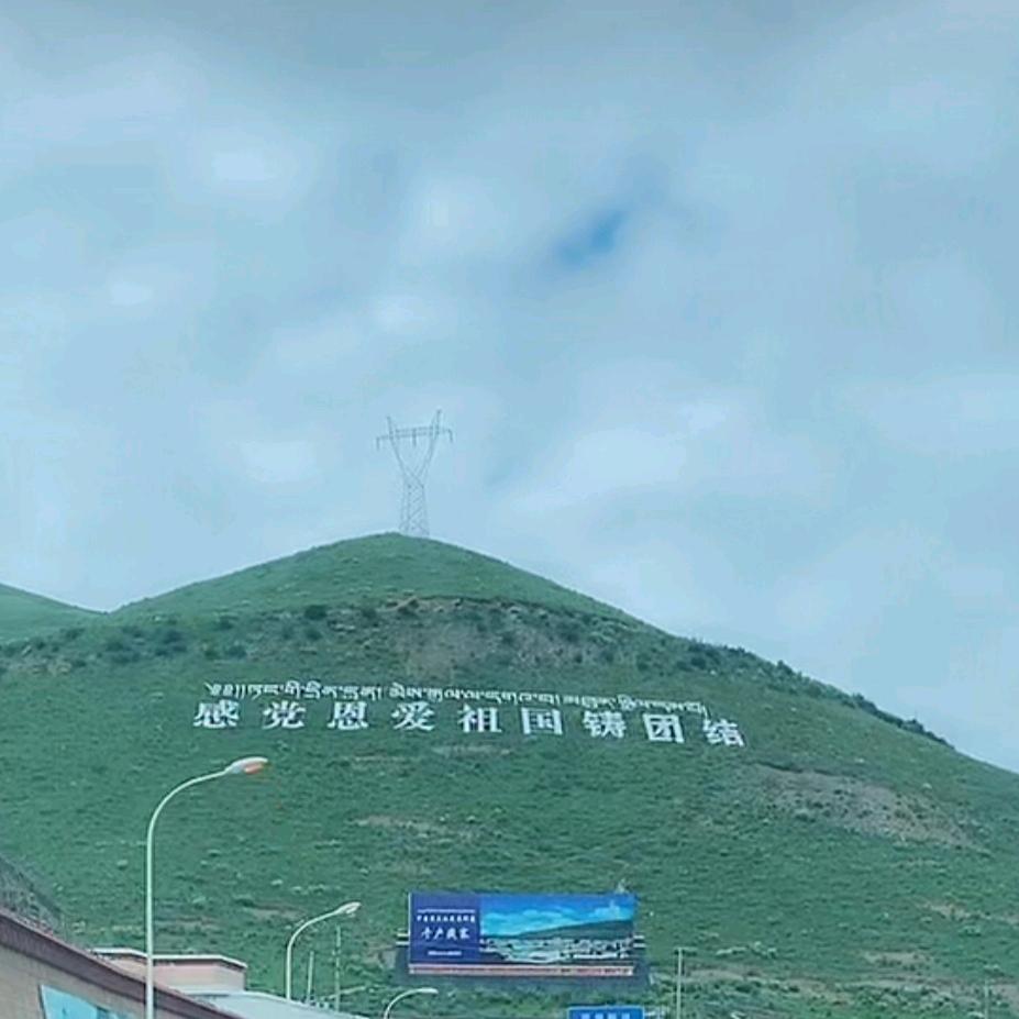 山哥