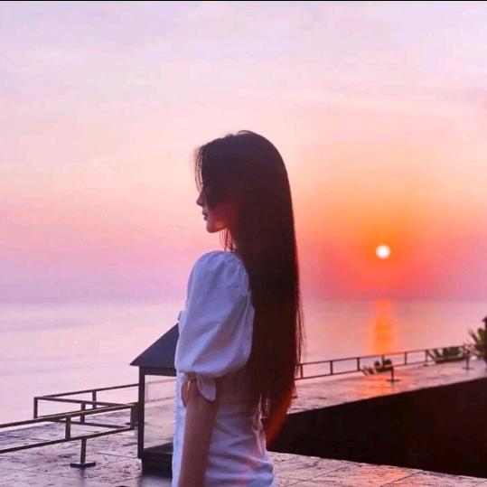 杨洋洋好物