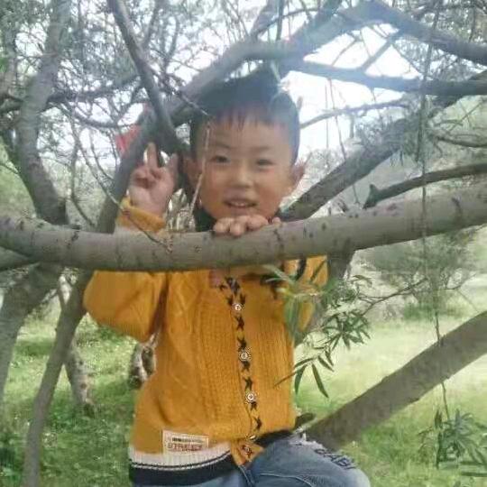 念念奶奶