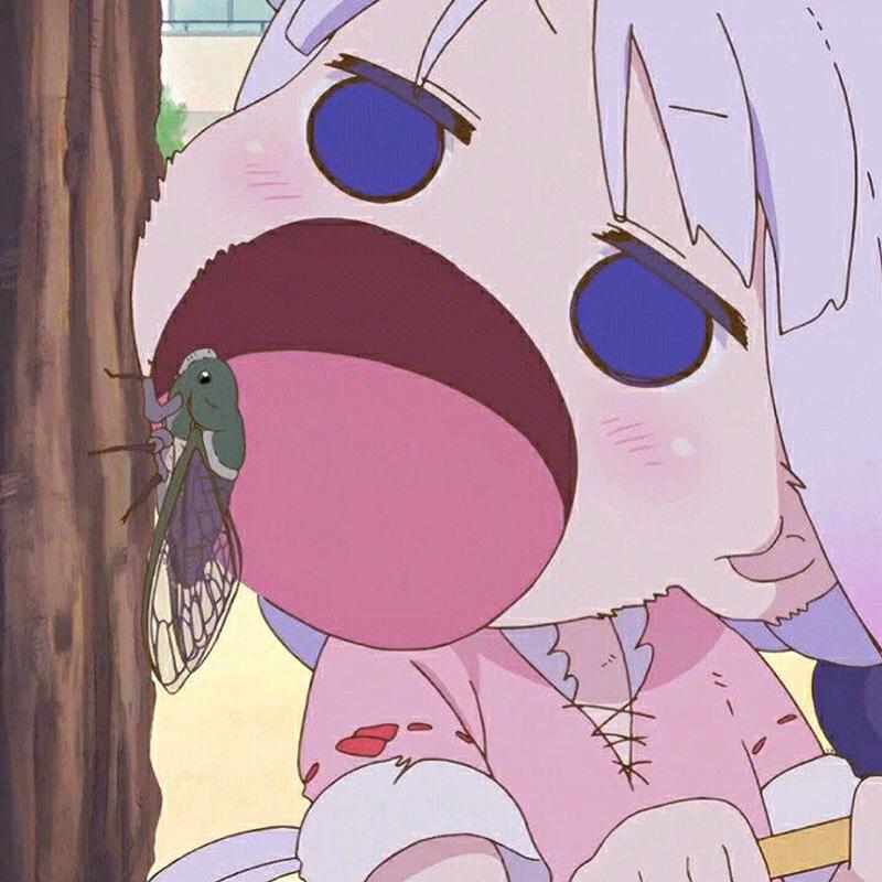 全世界最好的小孩儿LUOL