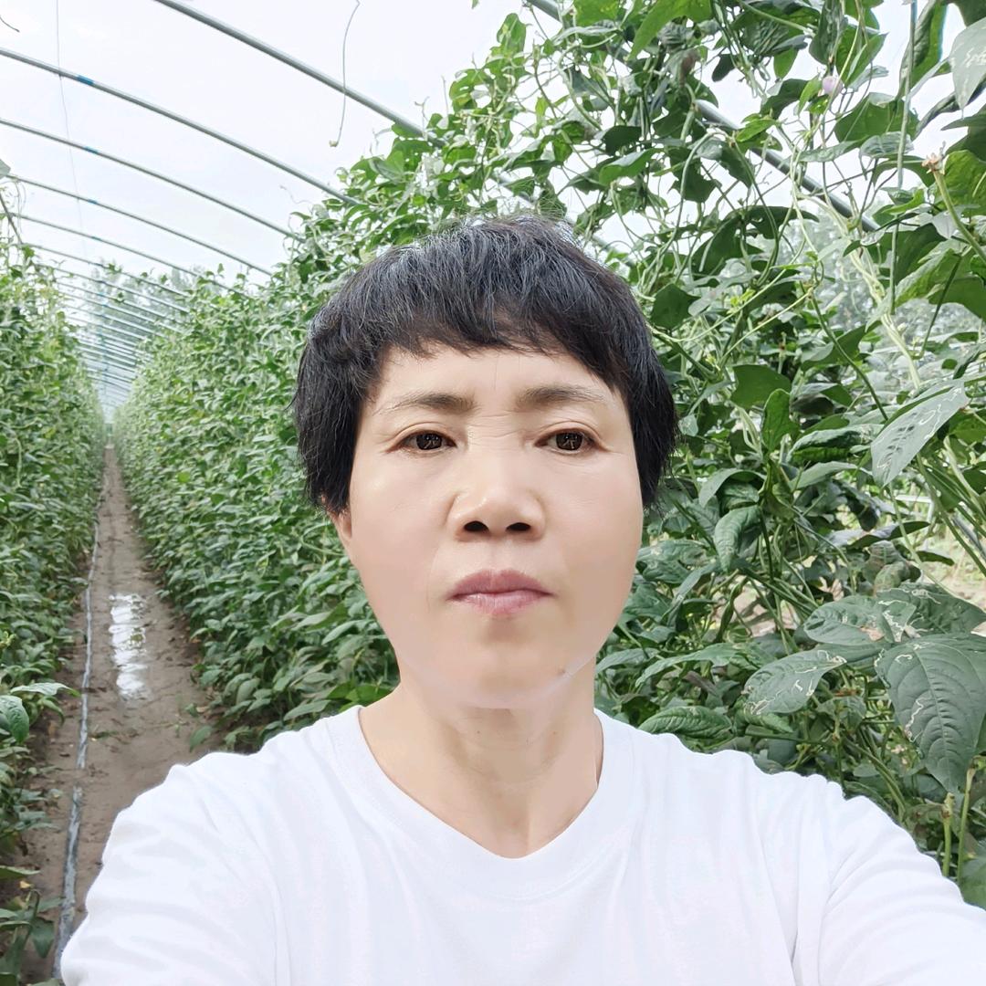 栖山金正大    吕林农资