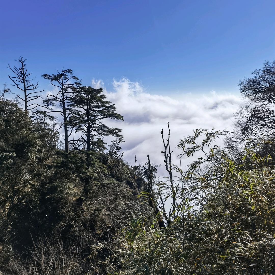 大西北种地的老兵
