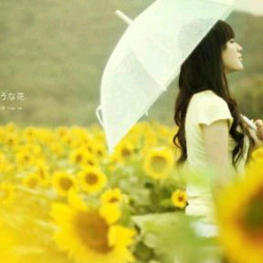 向阳花