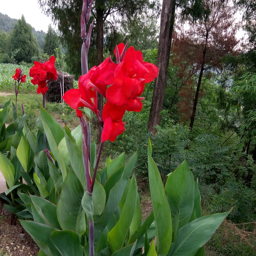 平安是福，，，