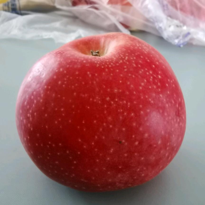 净正觉觉正净
