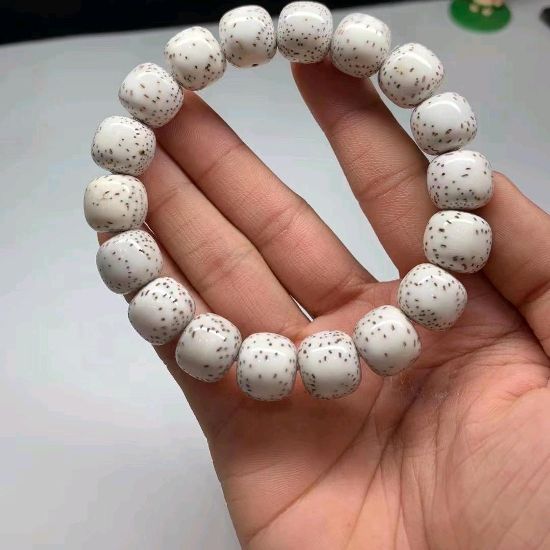 亮点星月直播间