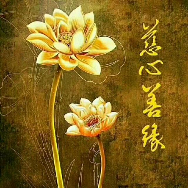 善缘14💕24
