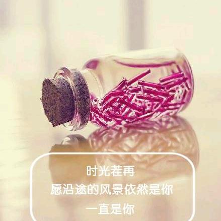一念相思
