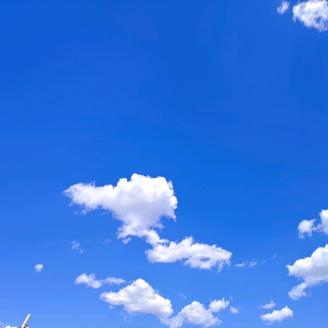 百度哥