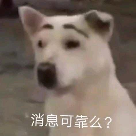 麻瓜