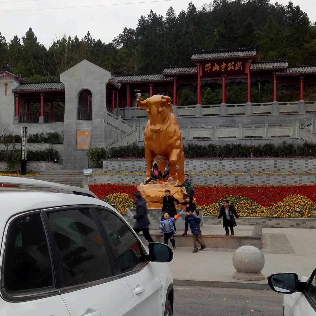 阿哥