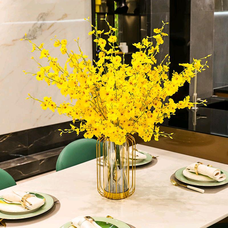 锌锌（首播12.10）