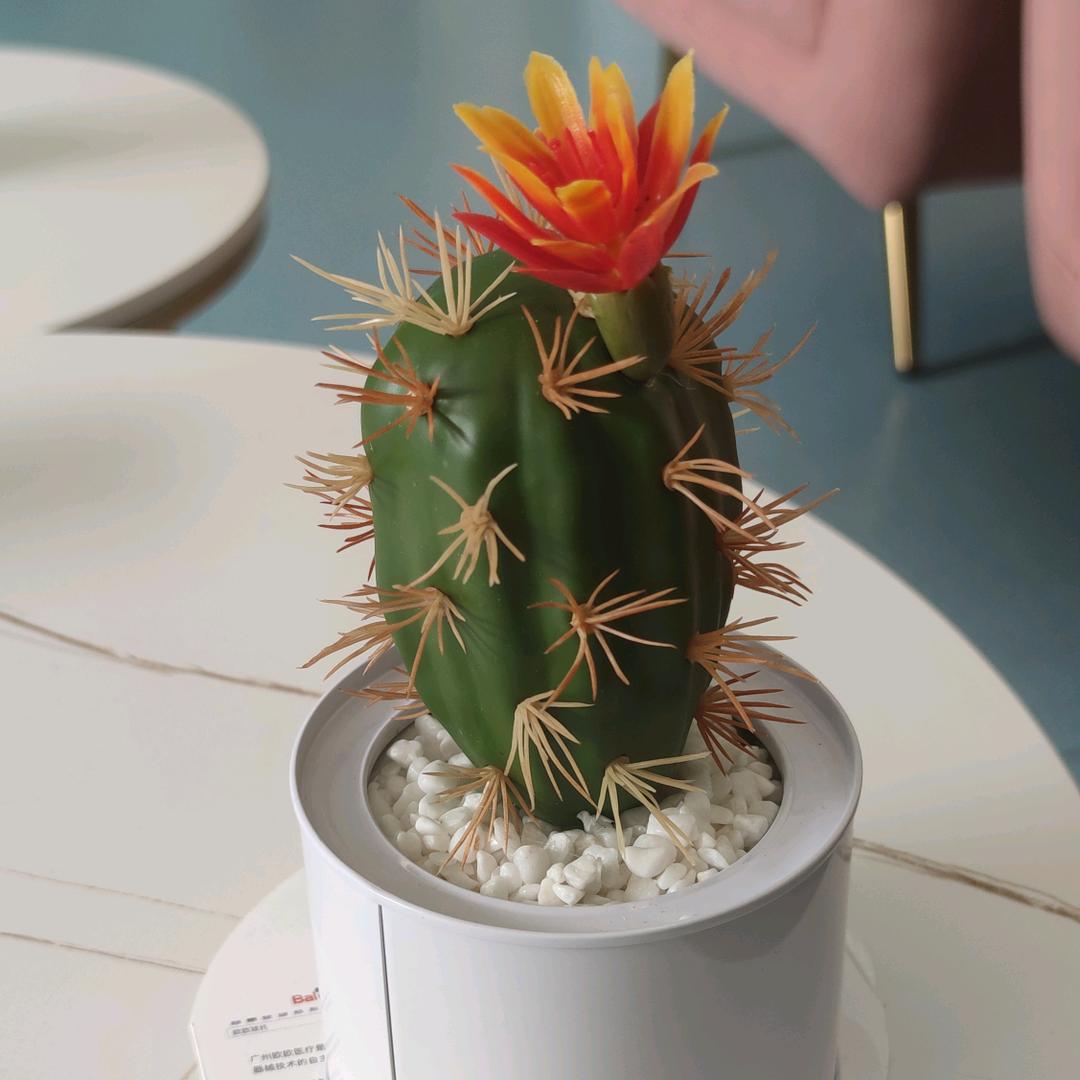 执著