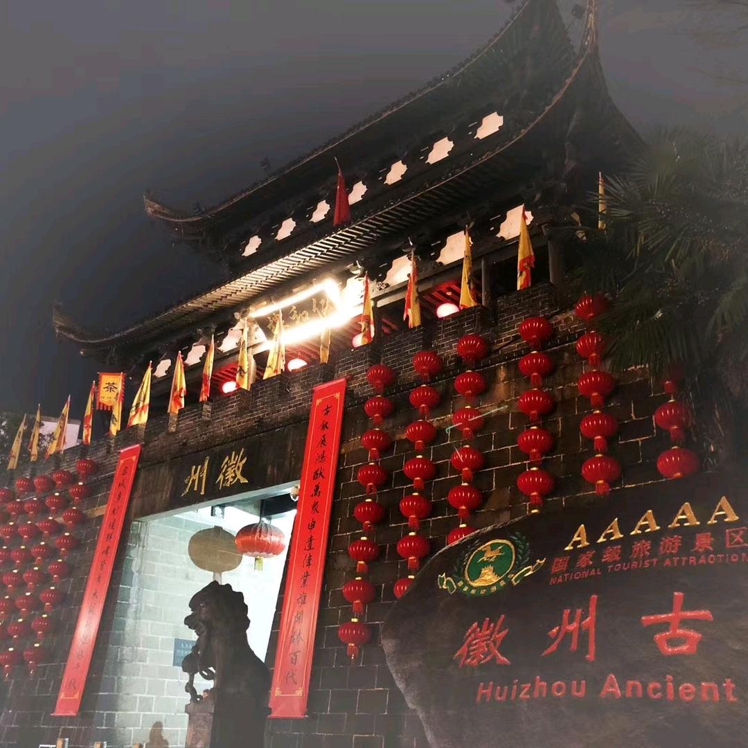 养了一只艾力绅