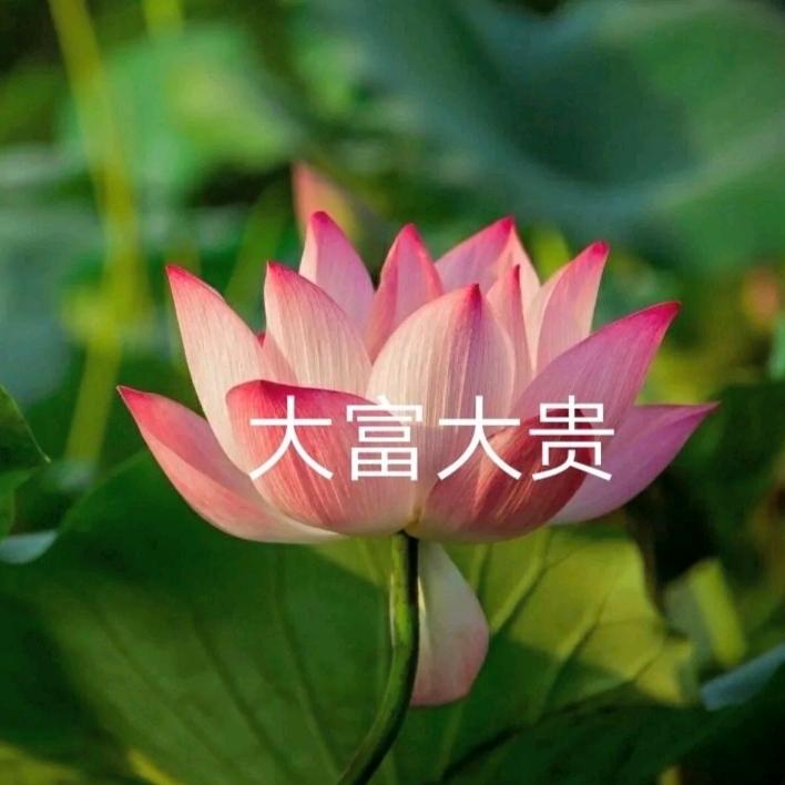 风平浪静