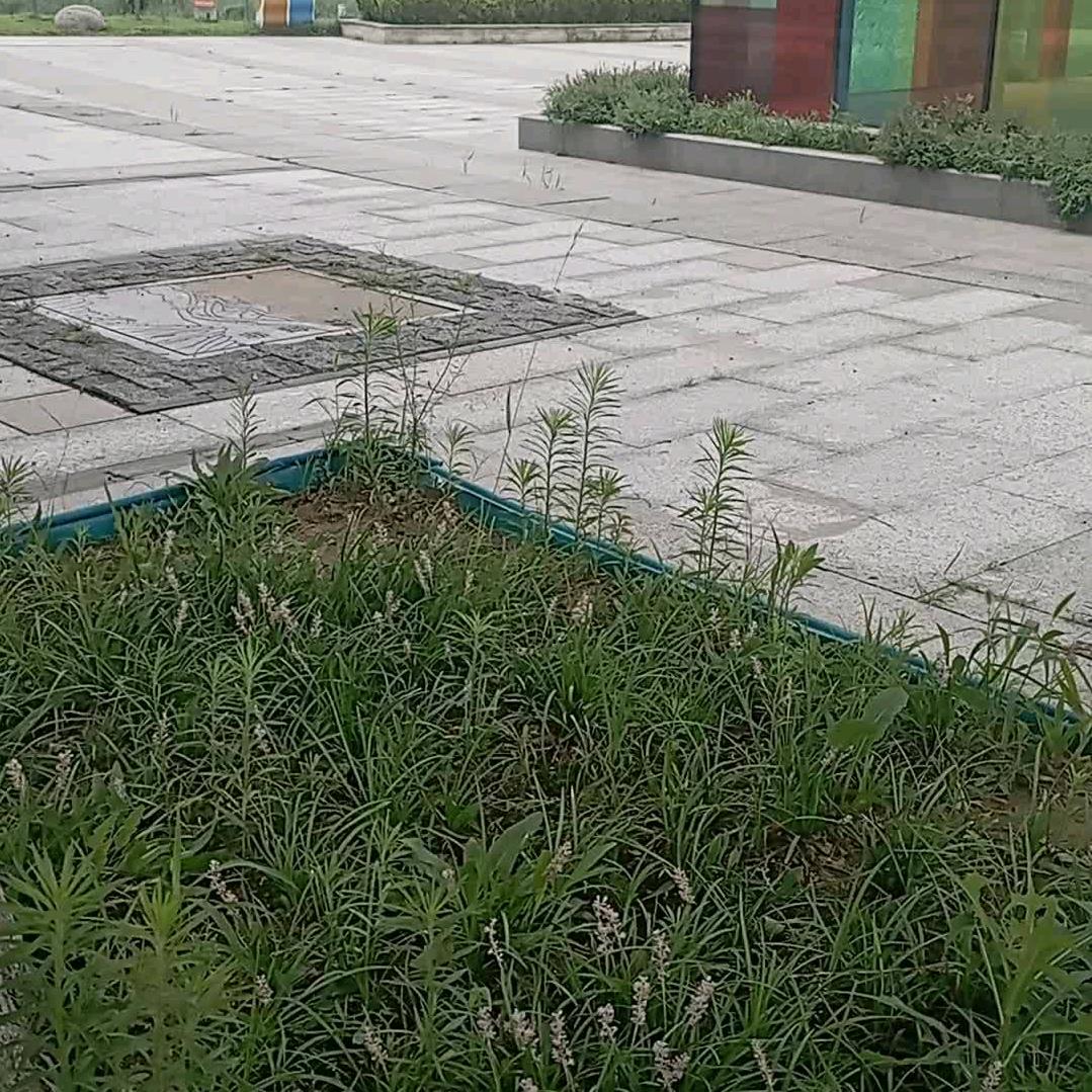 青山绿水