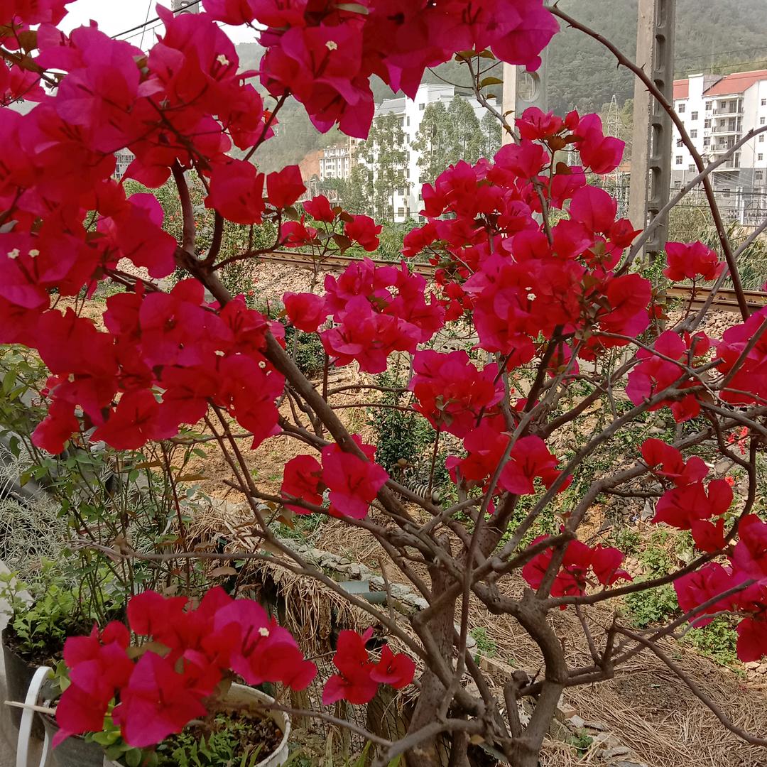 往后余生不将就