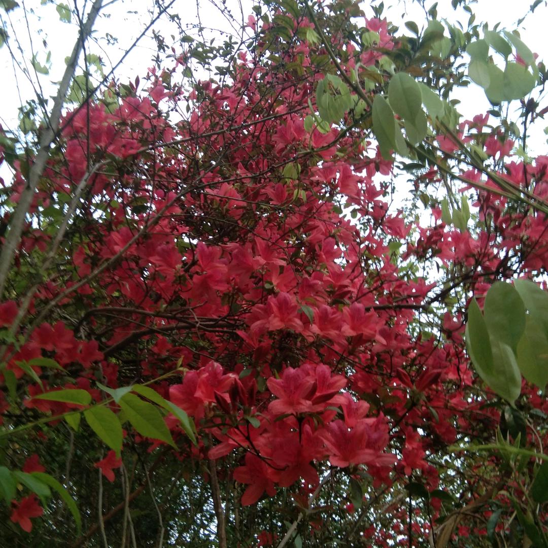 人生就像一场梦