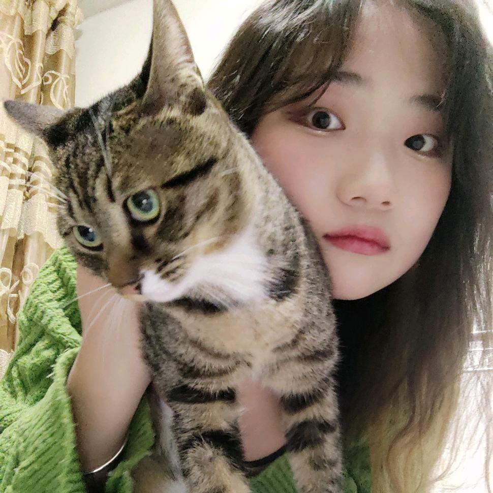 大风不出门（很瘦版）