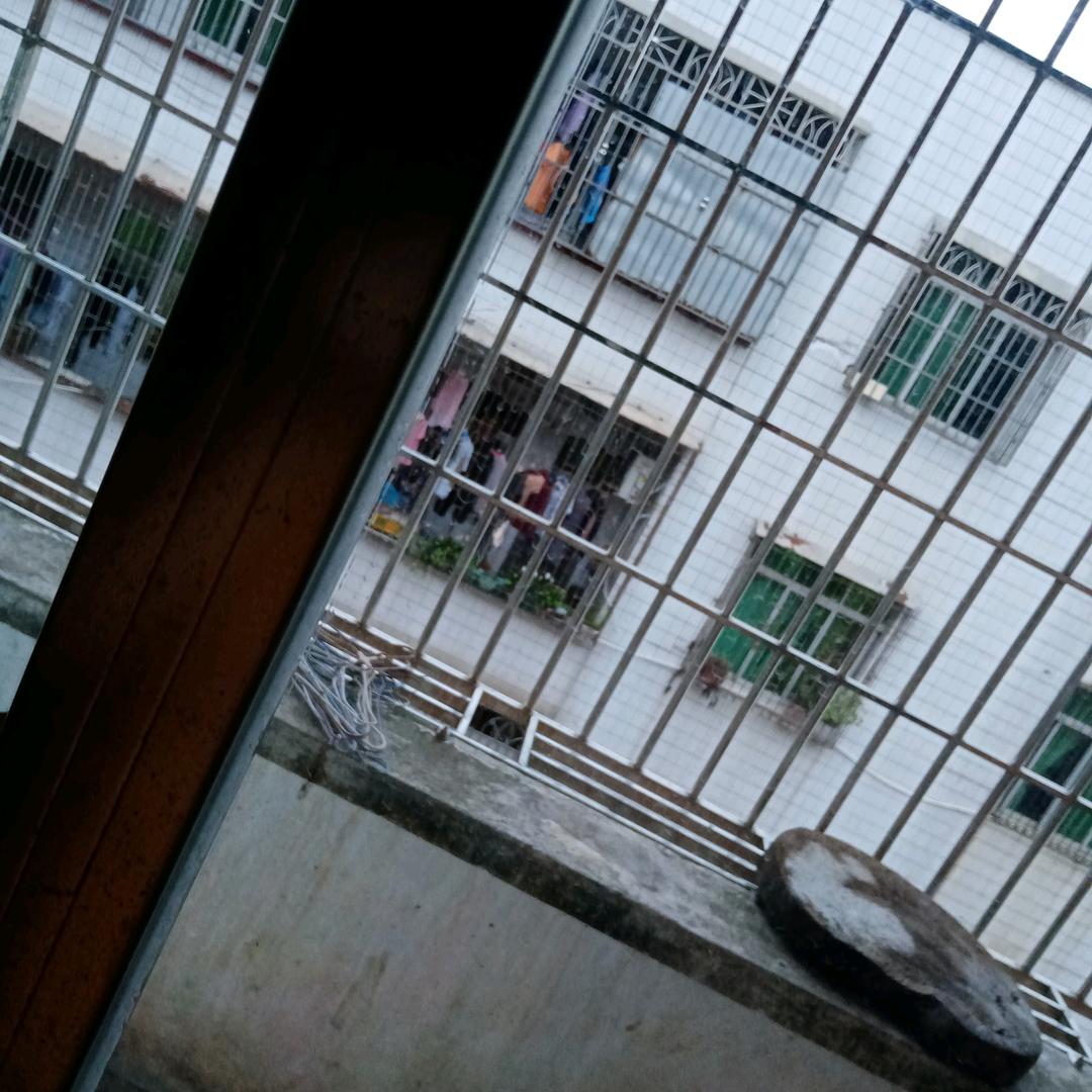 陈河宇