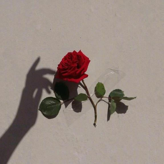 高小姐的金属切割