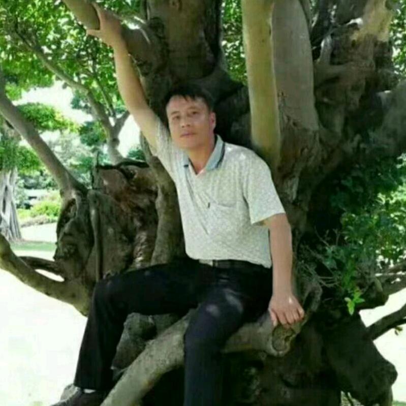网络情缘