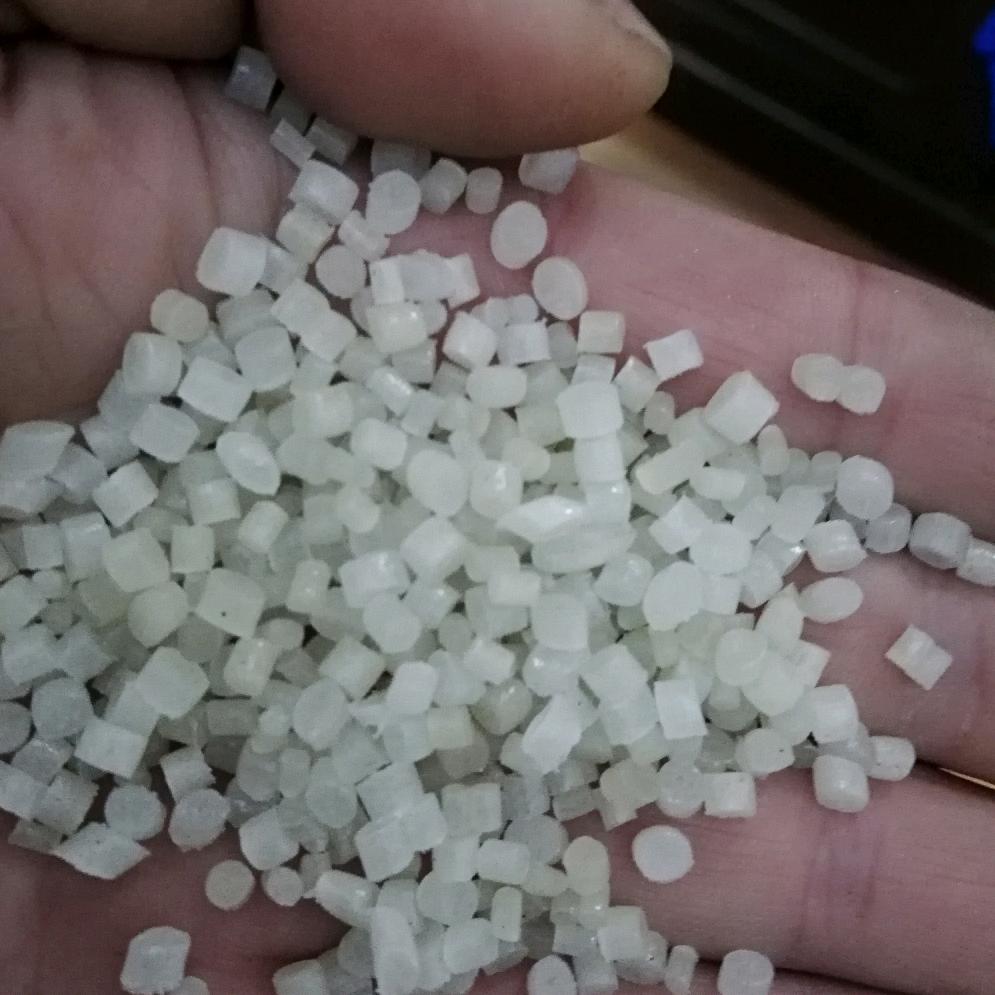 PE造粒曾爱文