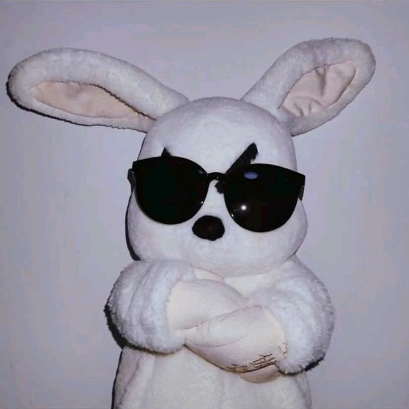 小厨师👨‍🍳👨‍🍳👨‍🍳