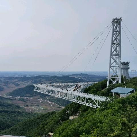 抖抖菲儿